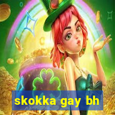 skokka gay bh